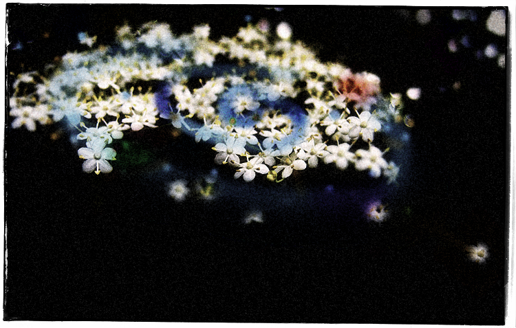 Galactic